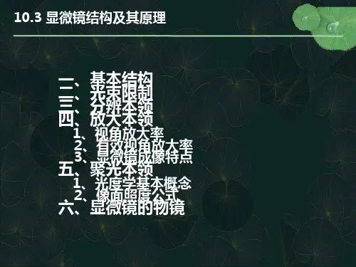 显微镜结构及其原理