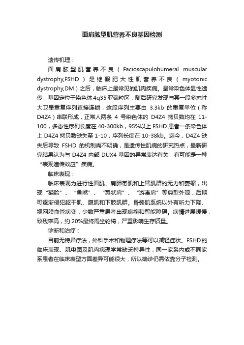 面肩肱型肌营养不良基因检测