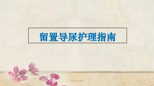 留置导尿护理指南ppt课件