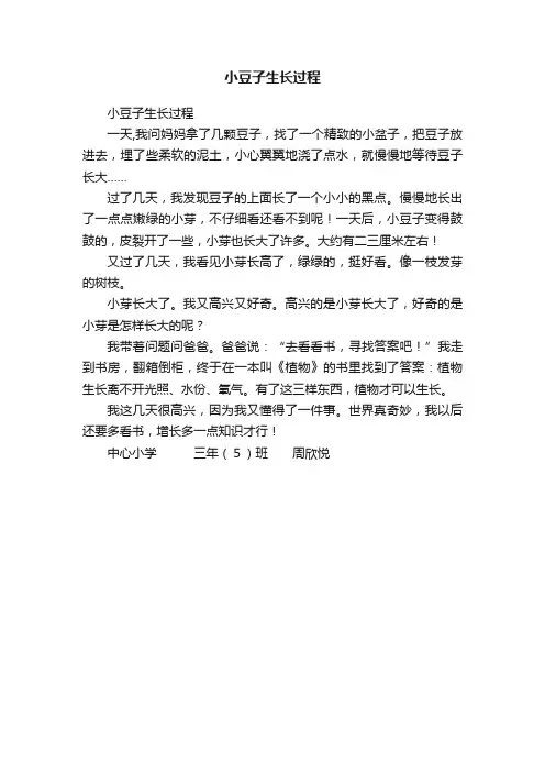 小豆子生长过程