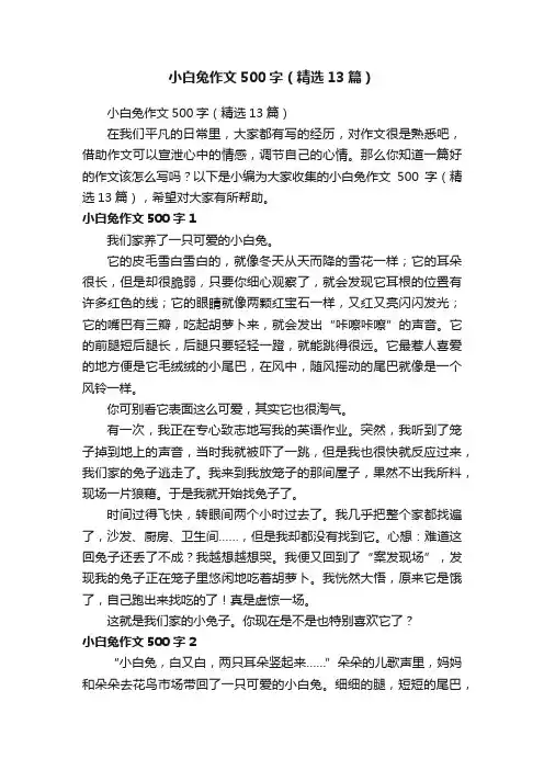 小白兔作文500字（精选13篇）