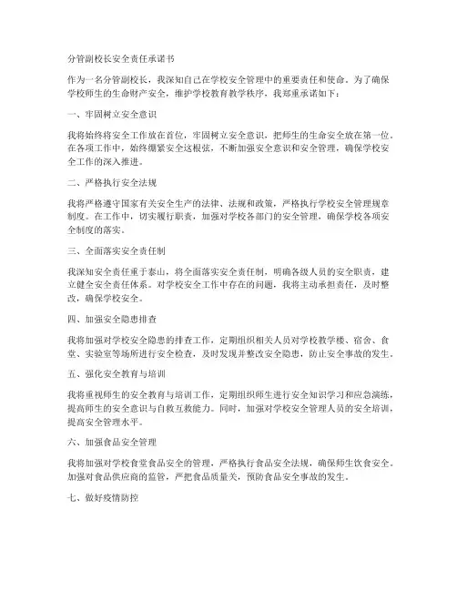 分管副校长安全责任承诺书