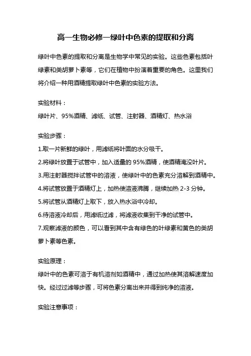 高一生物必修一绿叶中色素的提取和分离