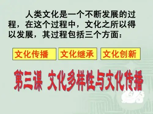 世界文化的多样性与文化传播