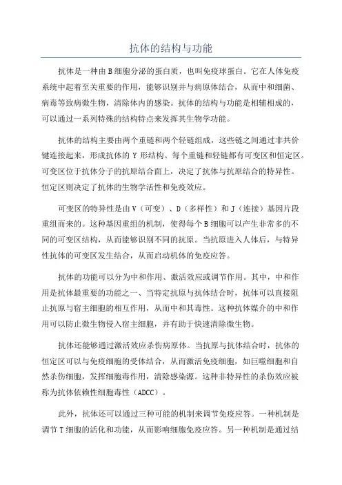 抗体的结构与功能