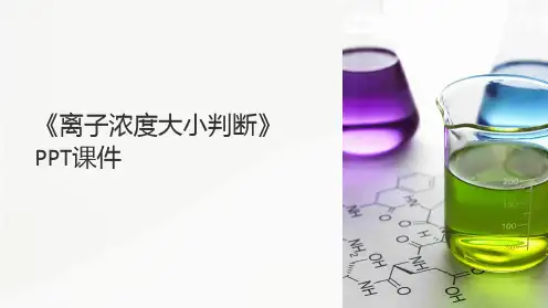 《离子浓度大小判断》课件