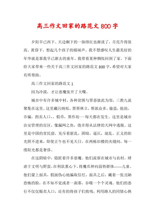 高三作文回家的路范文800字