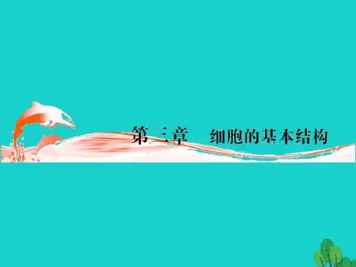 高三生物一轮复习第三章细胞膜与细胞核(第1课时)精品课件(必修3)