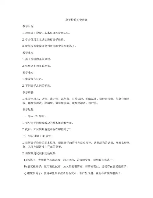离子检验初中教案