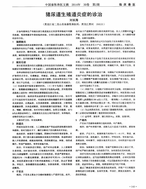 猪尿道生殖道炎症的诊治
