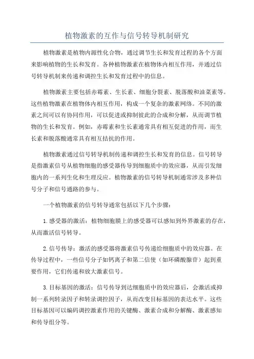 植物激素的互作与信号转导机制研究