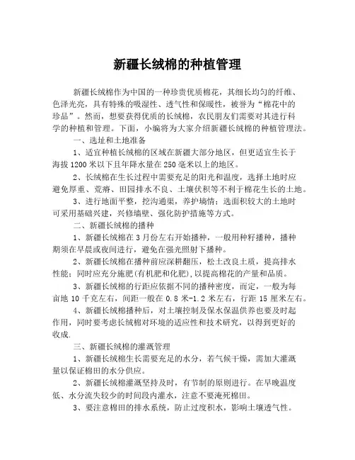 新疆长绒棉的种植管理