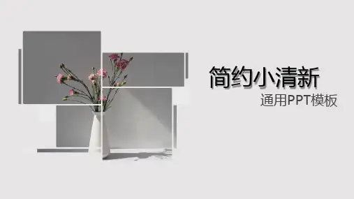 简约小清新通用PPT模板