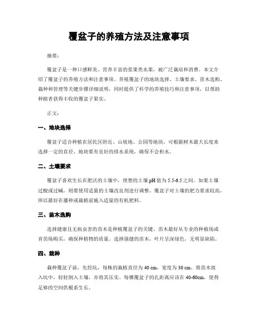 覆盆子的养殖方法及注意事项