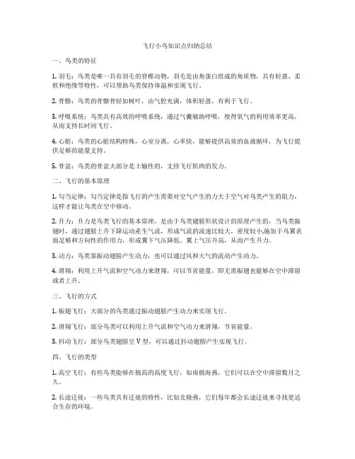 飞行小鸟知识点归纳总结