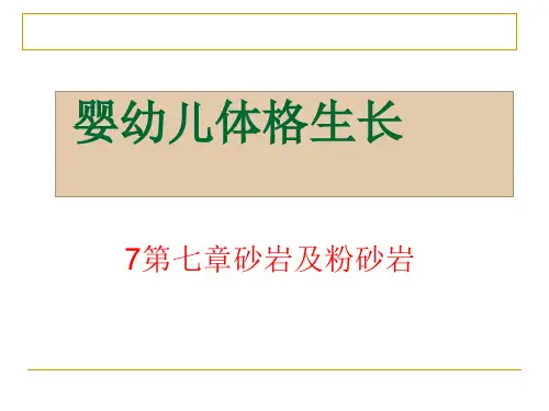 7第七章砂岩及粉砂岩