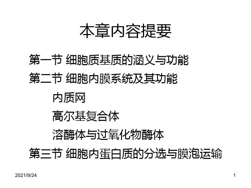 蛋白质分选膜泡运输1.ppt