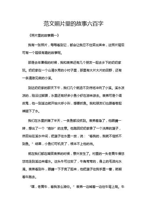 范文照片里的故事六百字