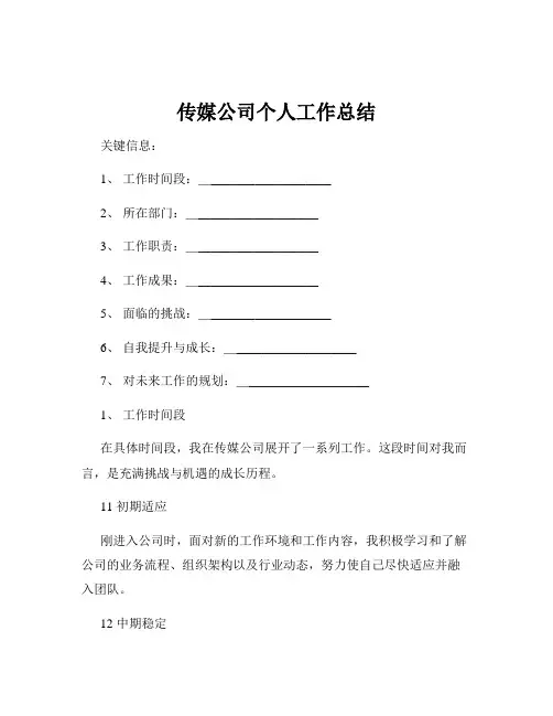 传媒公司个人工作总结
