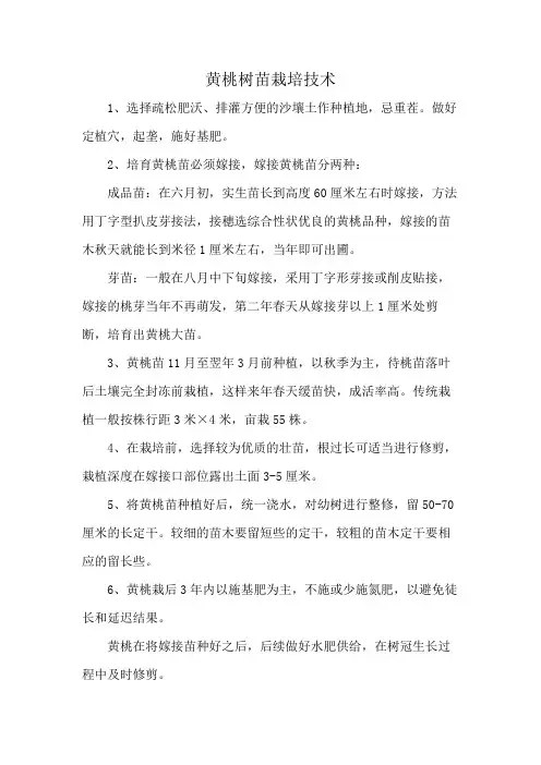 黄桃树苗栽培技术