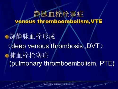 内科学肺血栓栓塞症专业知识培训培训课件