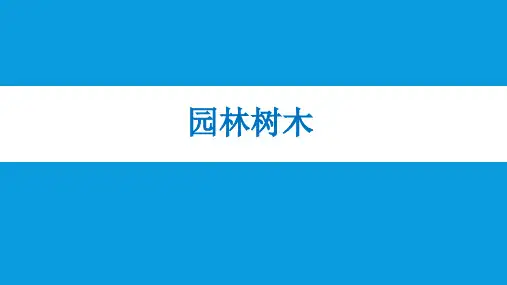 园林树木-绪论