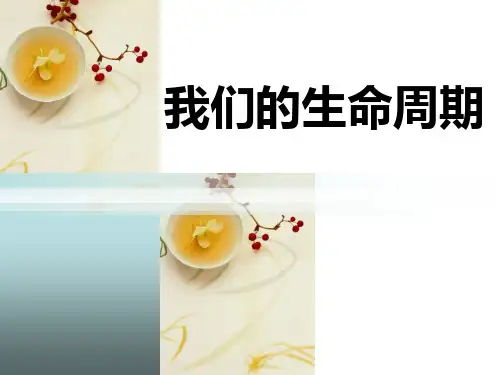 《我们的生命周期》动物的生命周期ppt实用课件