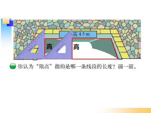 新北师大版五年级数学上册认识底和高