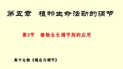 植物生长调节剂的应用 课件 人教版 选择性必修1