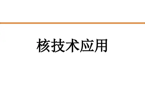 核技术应用课件