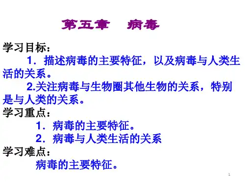 人教版初中生物八上 5.5  病毒 课件  (共18张PPT)