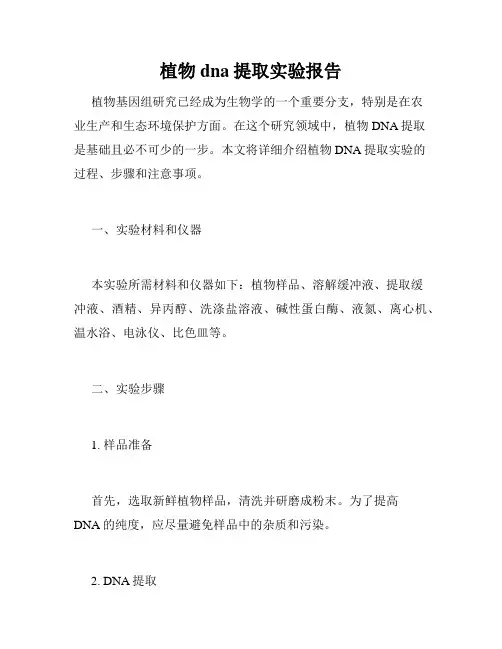 植物dna提取实验报告