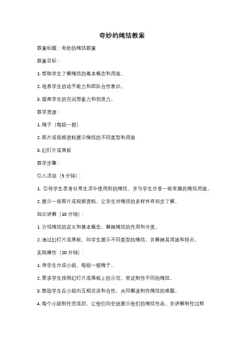 奇妙的绳结教案