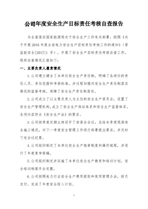 公司年度安全生产目标责任考核自查报告