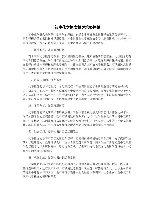 初中化学概念教学策略探微