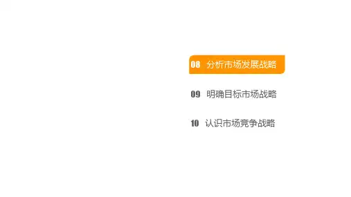 市场营销学-08分析市场发展战略