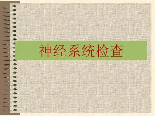 精神状态检查