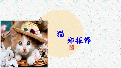 第16课《 猫》 (共15张PPT)部编版语文七年级上册