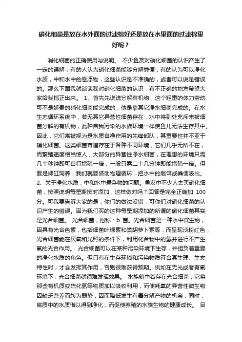 硝化细菌是放在水外面的过滤棉好还是放在水里面的过滤棉里好呢？
