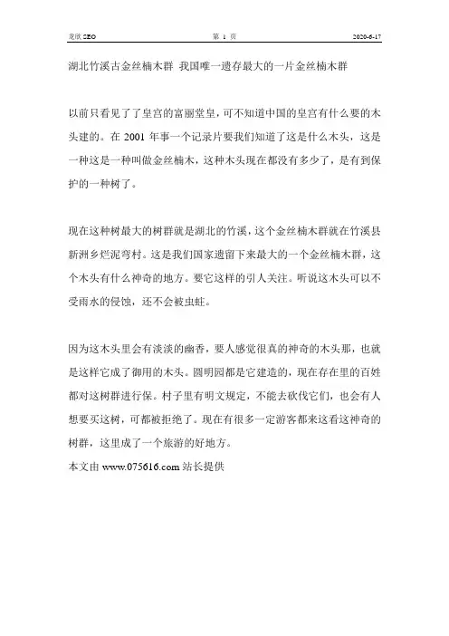 湖北竹溪古金丝楠木群 我国唯一遗存最大的一片金丝楠木群