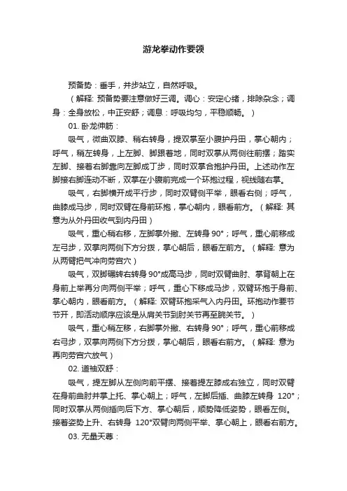 游龙拳动作要领
