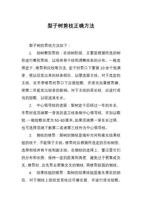 梨子树剪枝正确方法
