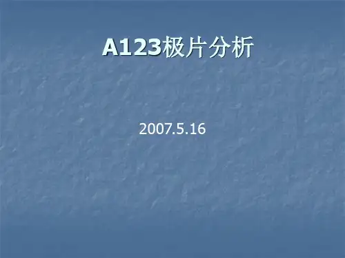 锂电池A123正极片分析资料