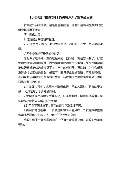 【小高姐】如何发面干货讲解深入了解发酵点滴