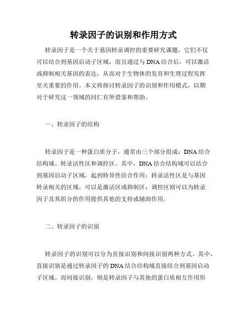 转录因子的识别和作用方式