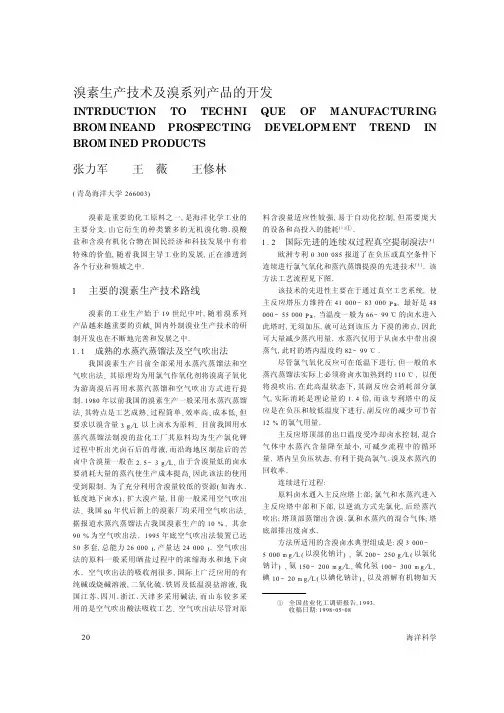 溴素生产技术及溴系列产品的开发