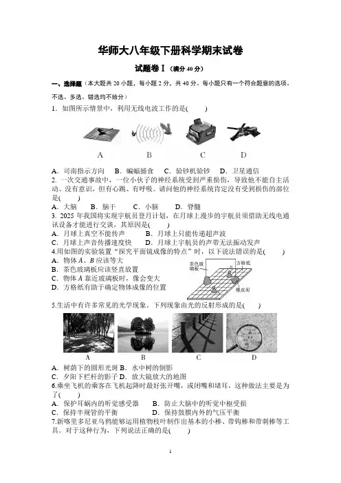 华师大八年级下册科学期末试卷