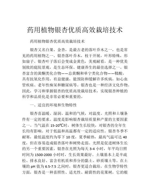 药用植物银杏优质高效栽培技术