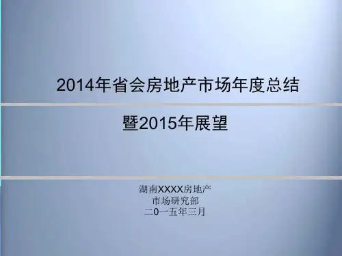2014年湖南省会房地产市场年度总结暨2015年报告PPT模板