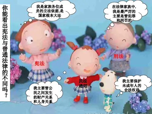 宪法是国家的根本大法(2019年11月整理)